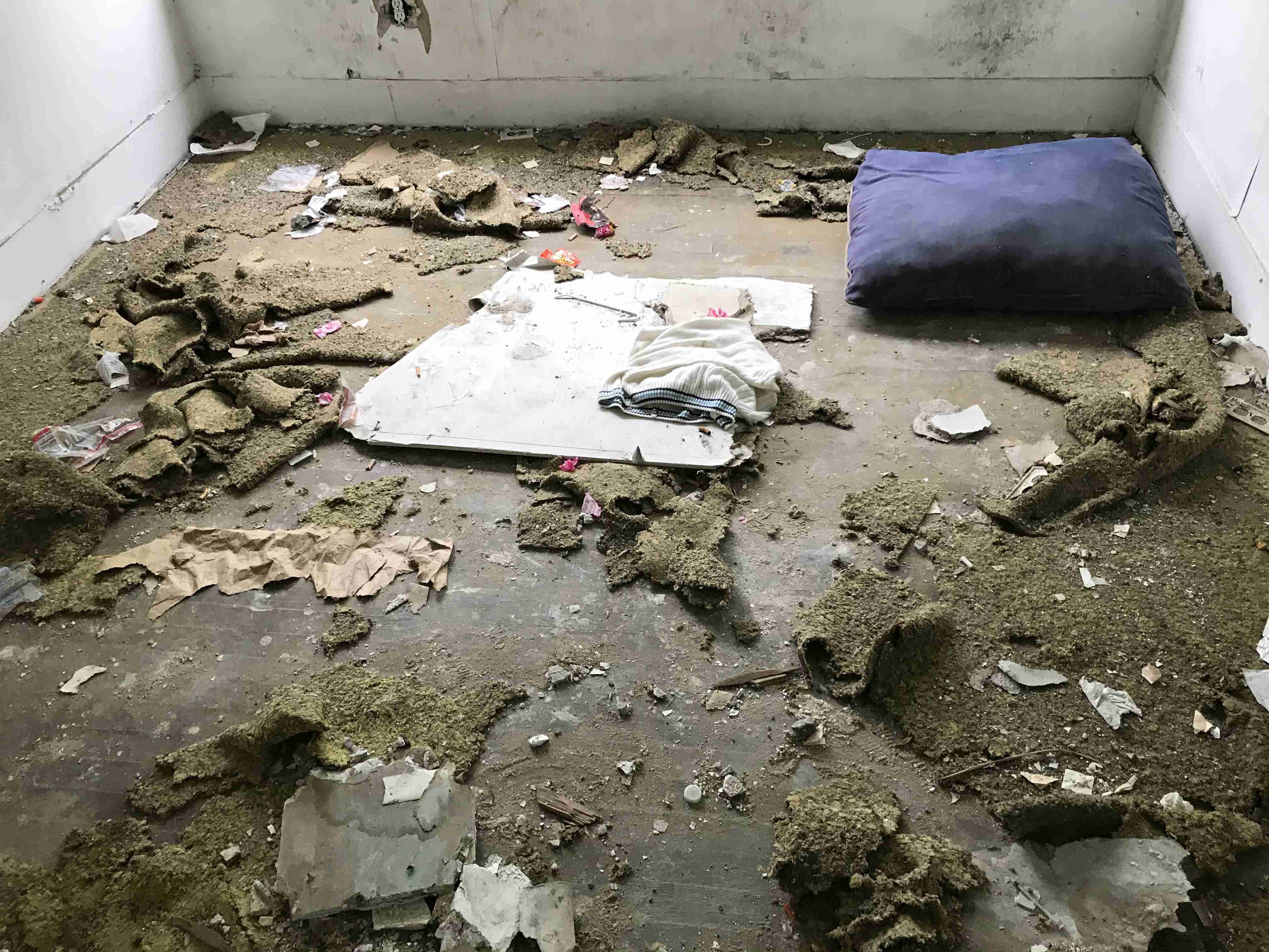 Photo Sep 10, 2 26 23 PM.jpg